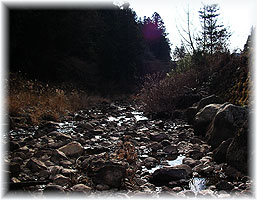 c0041105_094281.jpg