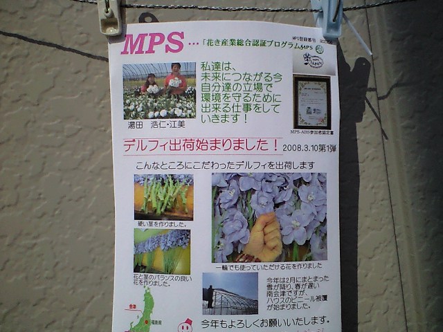 デルフィ初出荷です_d0099708_9411998.jpg