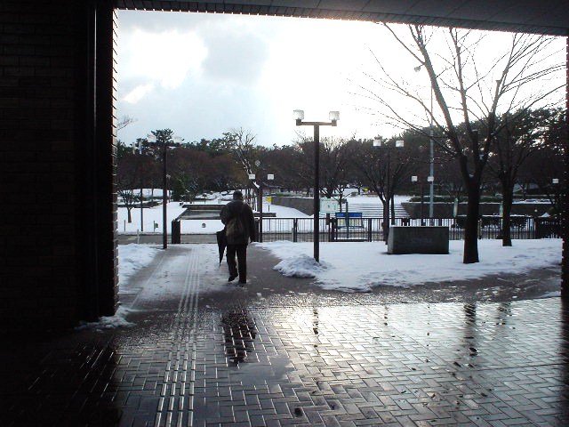 雪の新潟市美術館_d0039111_14243442.jpg