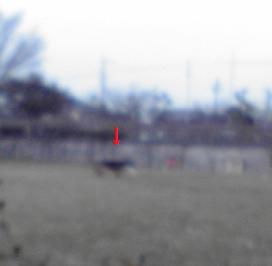e0136815_9592391.jpg