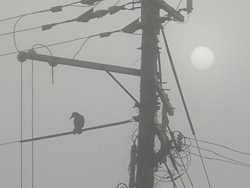 f0086618_19521534.jpg
