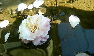 c0138720_21585857.jpg