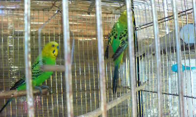 c0138720_21595223.jpg