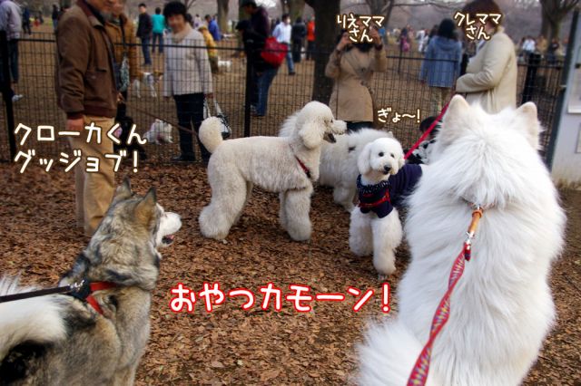 うれし、たのし、おいし♪_c0062832_1734661.jpg