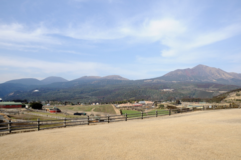 c0144038_174265.jpg