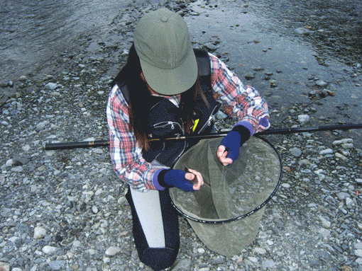 a0056140_1431331.gif