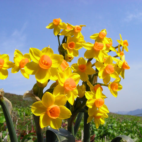 c0067040_2256499.jpg