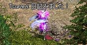 f0051047_8484732.jpg