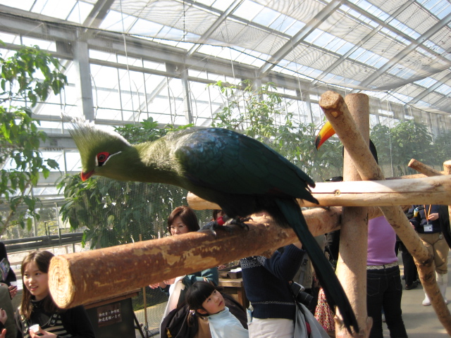 鳥の国、花の園へ_f0136850_2236123.jpg