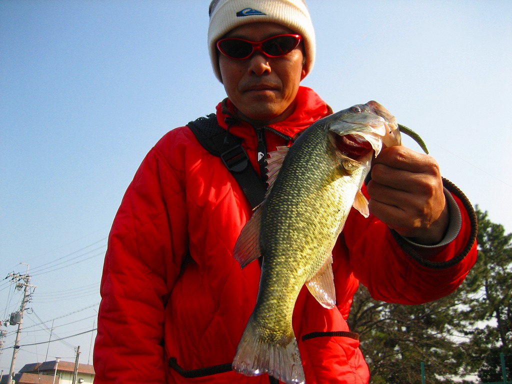 c0127358_23302383.jpg