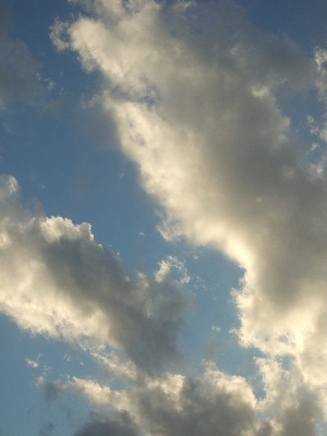 d0102664_32342.jpg