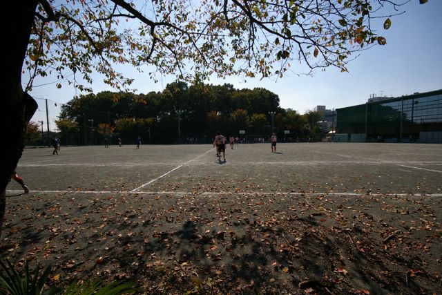 e0131966_15303757.jpg