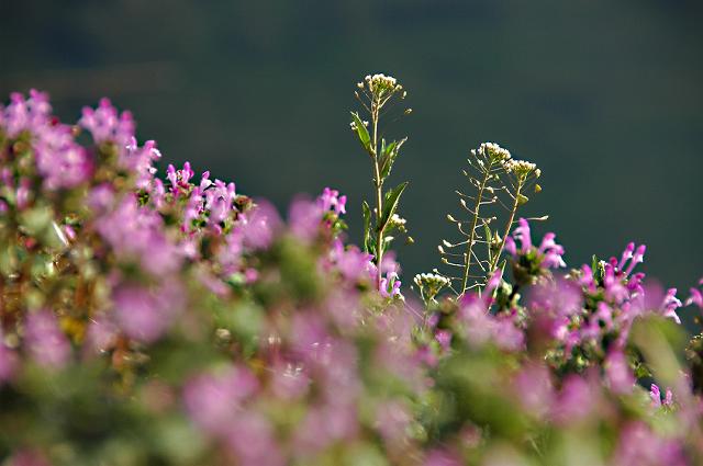 a0044076_2223578.jpg