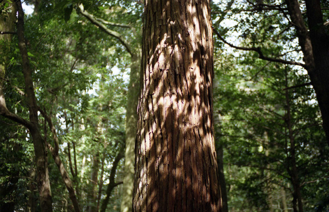 c0054876_18152310.jpg