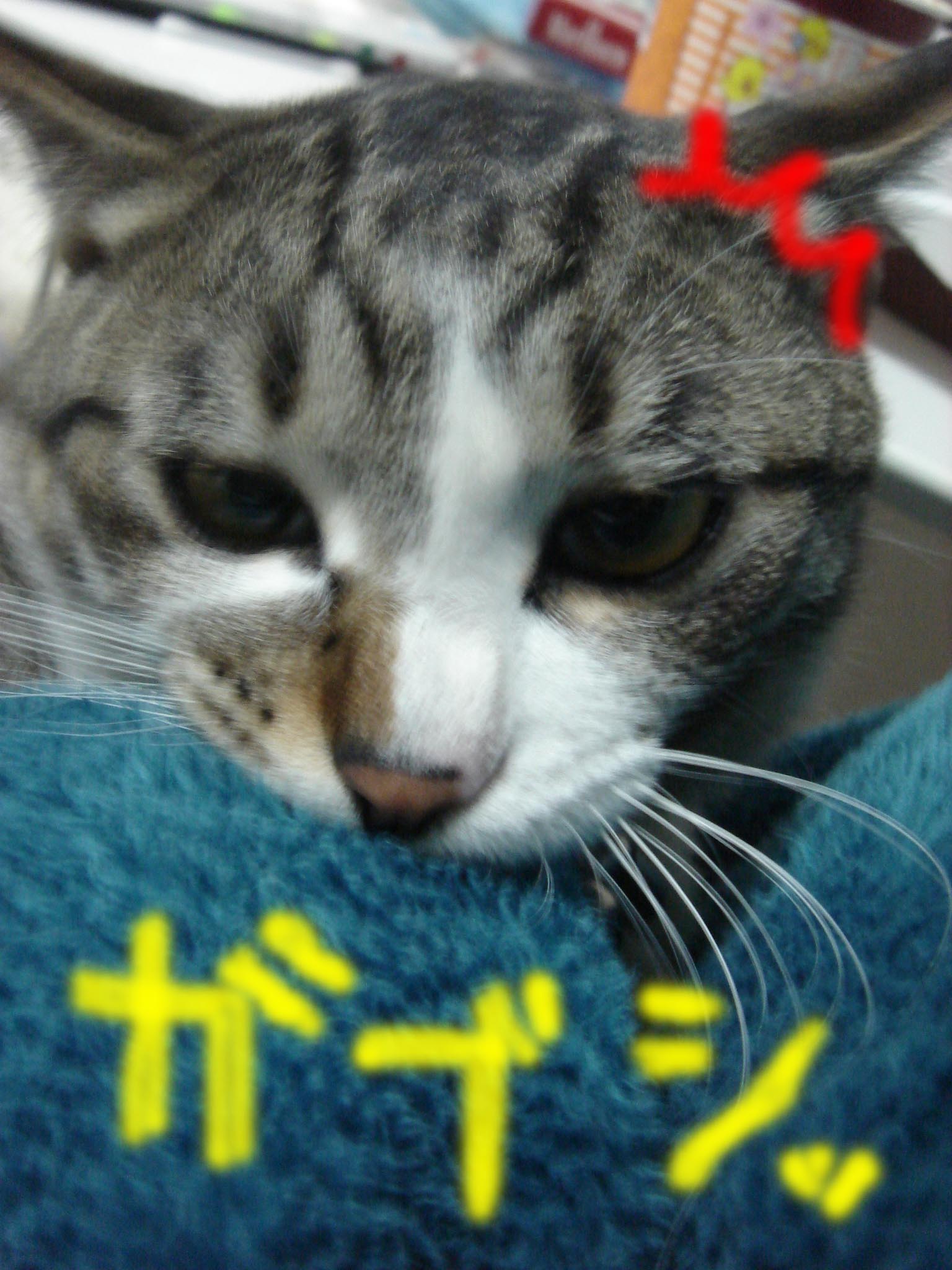 c0126176_22585145.jpg
