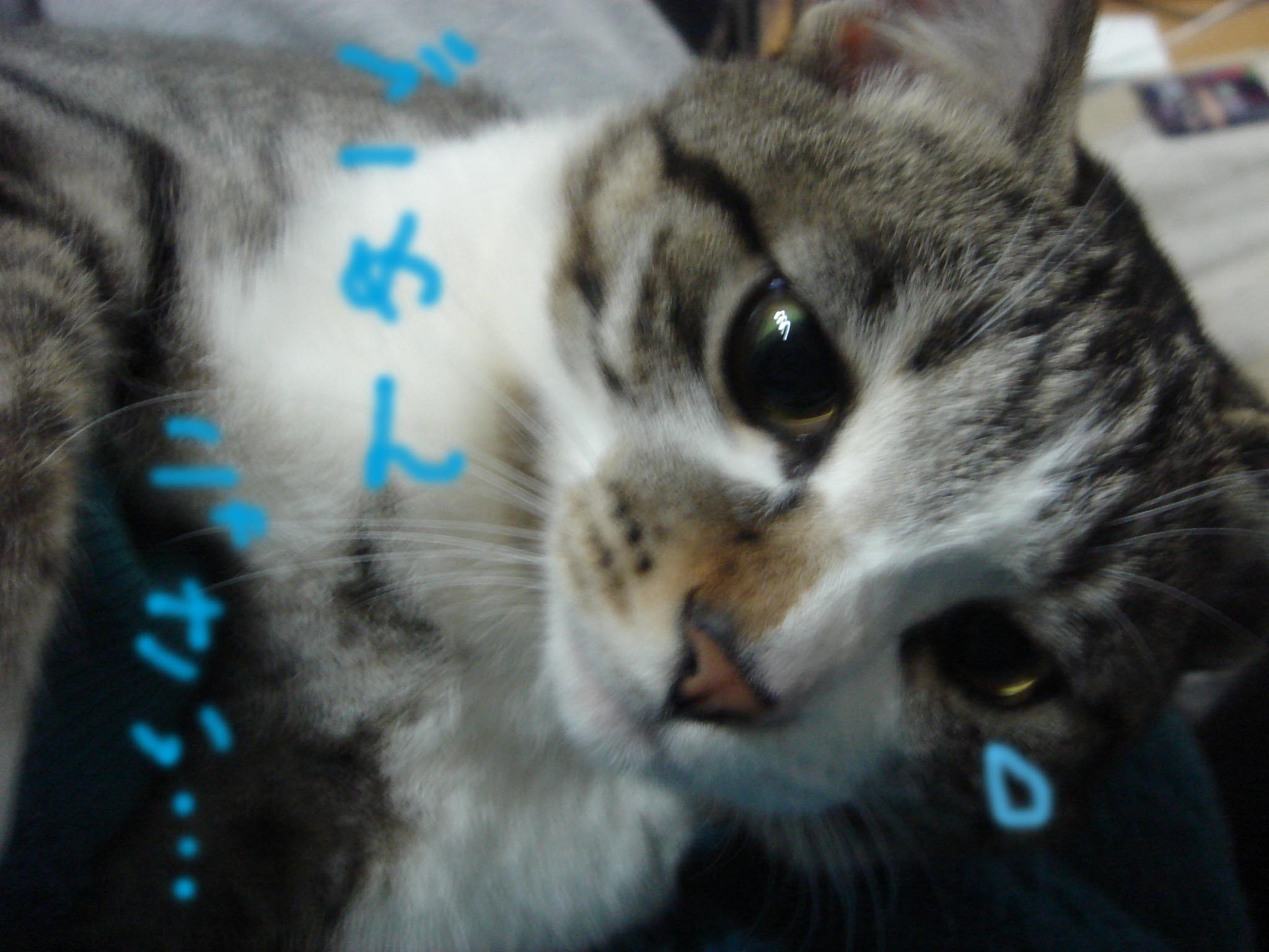 c0126176_232533.jpg