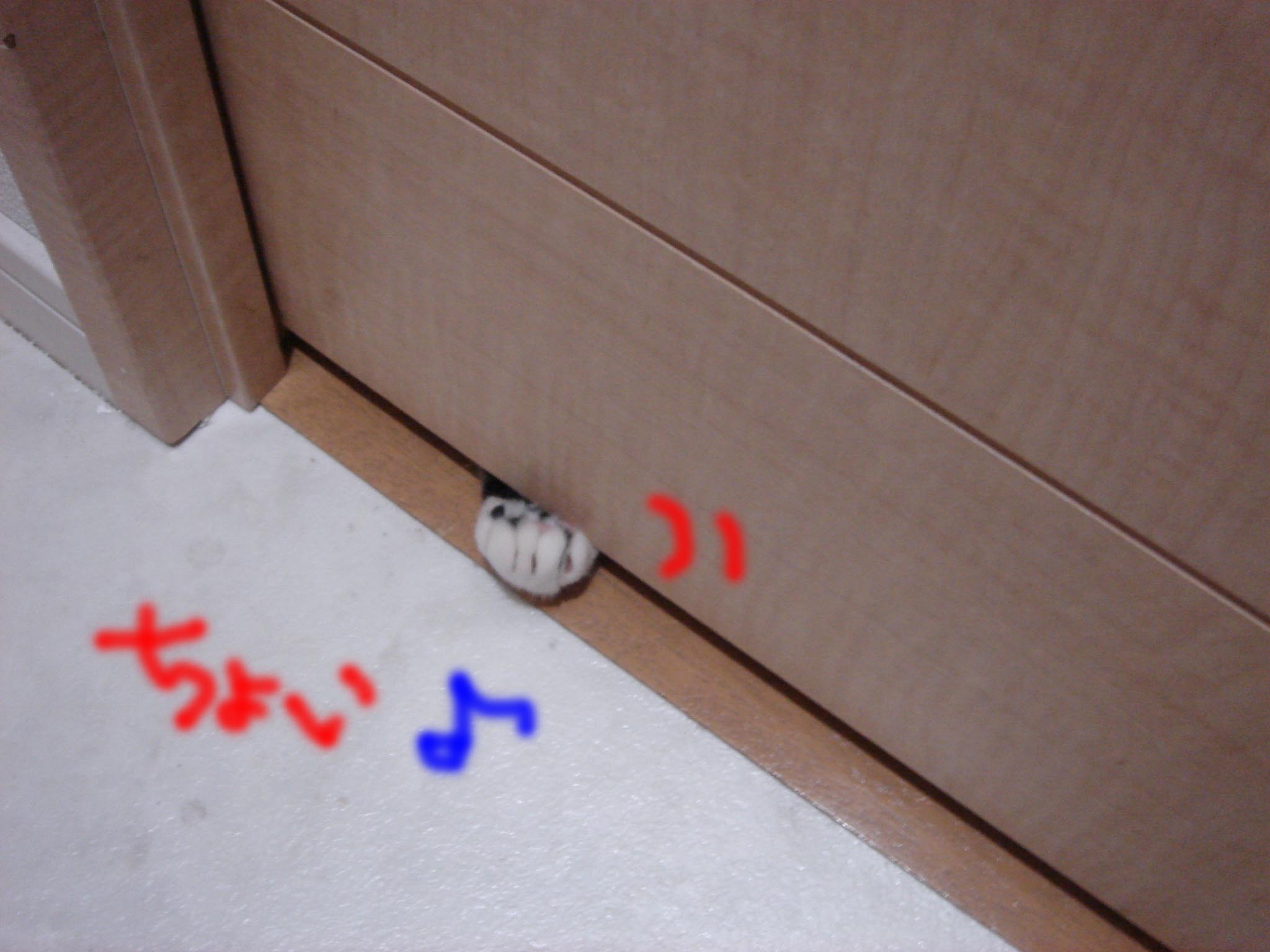 c0126176_234810.jpg