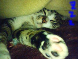 c0126176_2351888.jpg