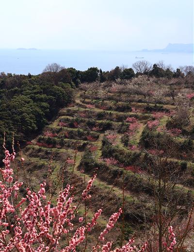 ちょっと行ってきました。_c0092689_22374214.jpg