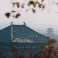 b0087409_16175962.jpg