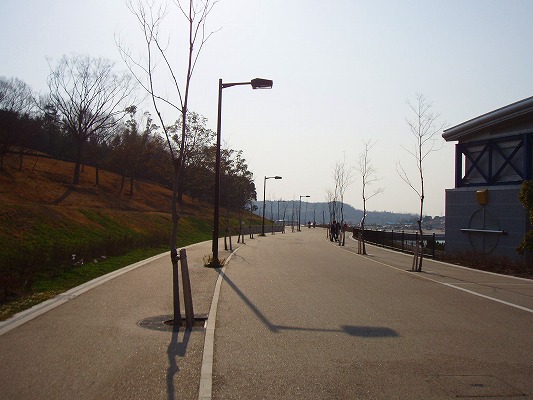 a0060414_184553.jpg