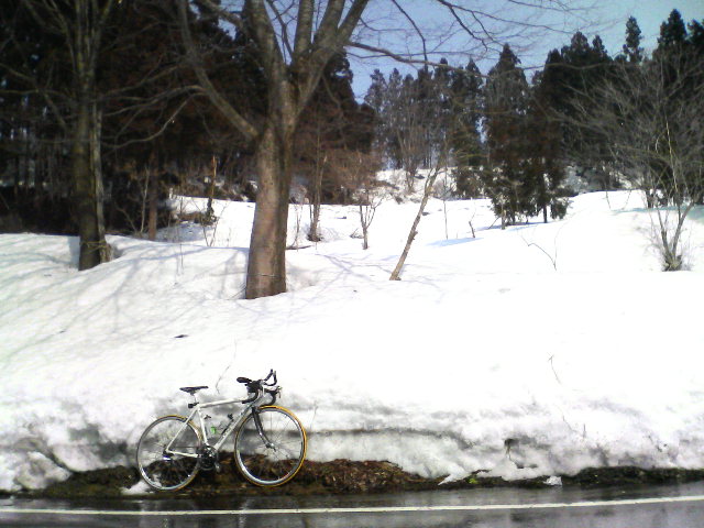 サイクリング_f0050226_1432978.jpg