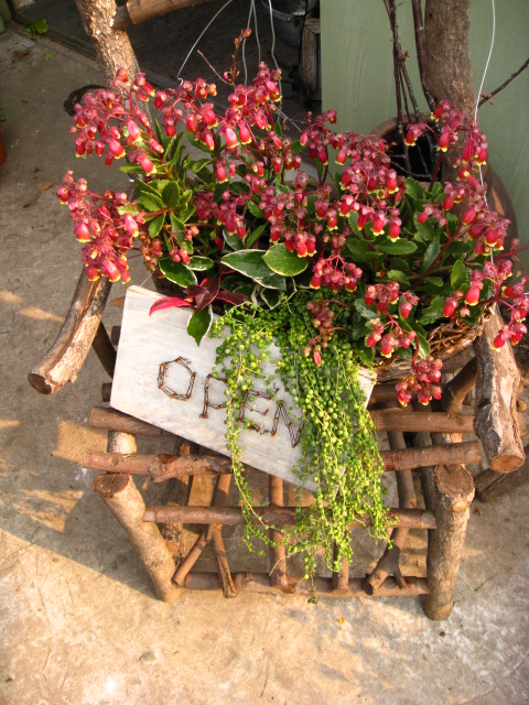 c0102228_2061060.jpg