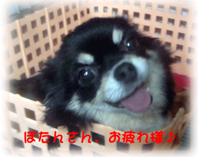 b0078030_222436.gif