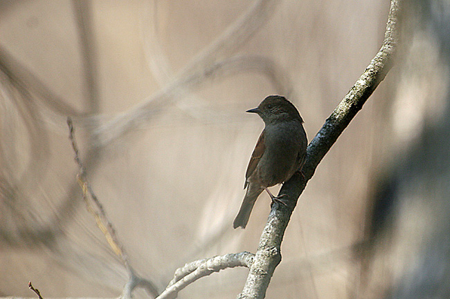 e0066638_05653.jpg