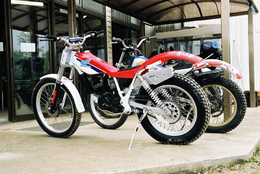 HONDA TLR200改250♪ : すえドンのフォト日記