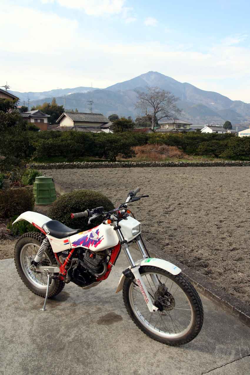 HONDA TLR200改250♪ : すえドンのフォト日記