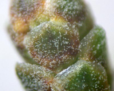 e0035757_0132754.jpg