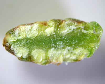 e0035757_0133884.jpg