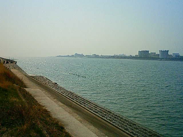 久々の散歩(笑)_c0009280_1438759.jpg
