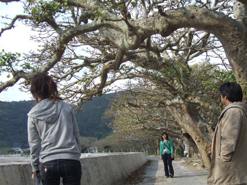 MBCラジオさん、ご来島!_e0028387_20511136.jpg