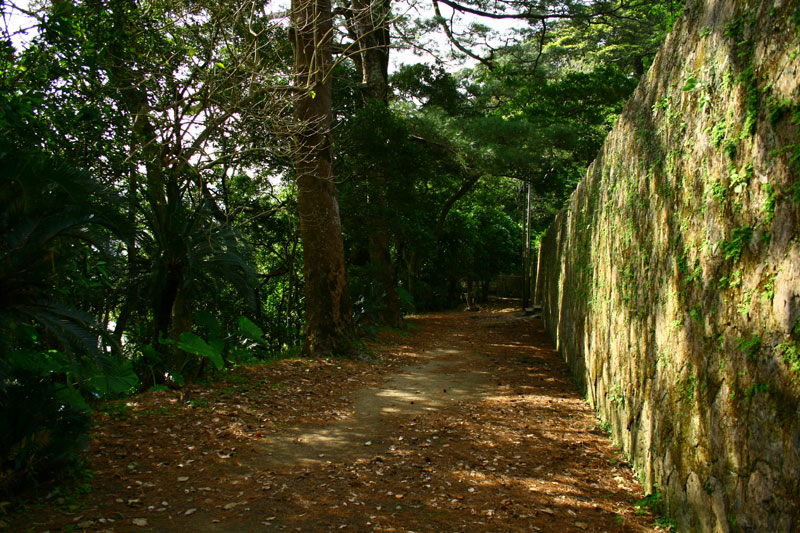 a0078698_16312.jpg