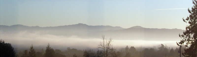 f0007498_05839.jpg