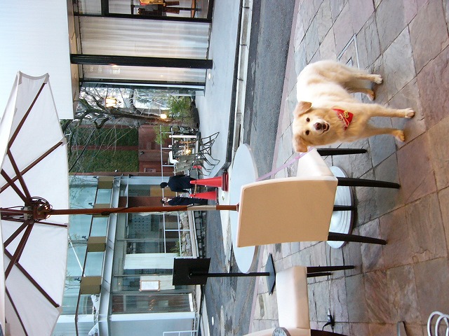 a0032004_04929.jpg