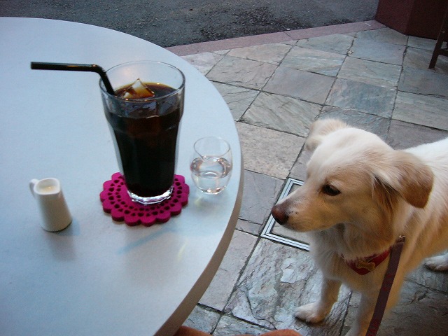a0032004_05298.jpg