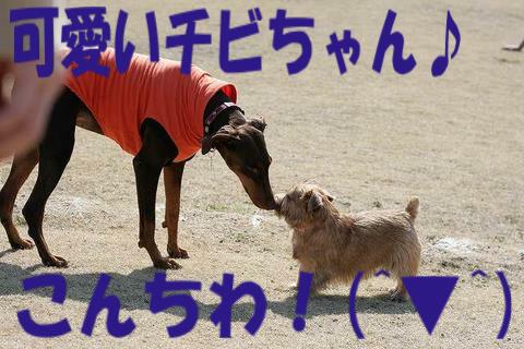 e0100007_2142175.jpg