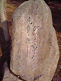 びいと啼け 神変紅丼