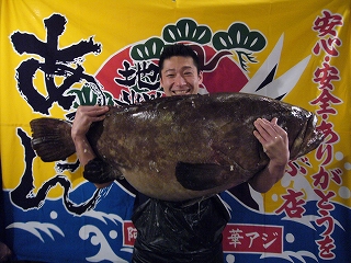阿久根産 33キロ クエ入荷!_f0157910_15443434.jpg
