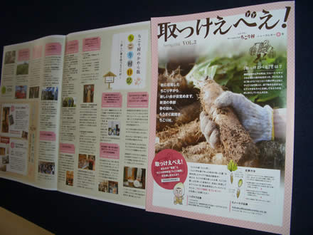 ちこり村ニュースレター「取っけえべえ!春号」_d0063218_929080.jpg