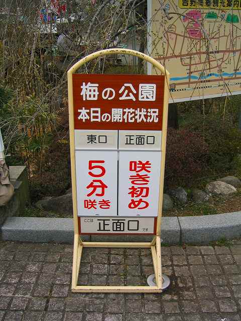 e0117318_22424562.jpg