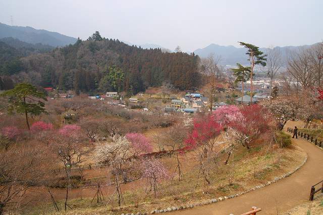 e0117318_22565994.jpg
