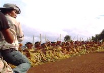 2008年のヤップデイ-ちょっと心配編_a0043520_19562845.jpg