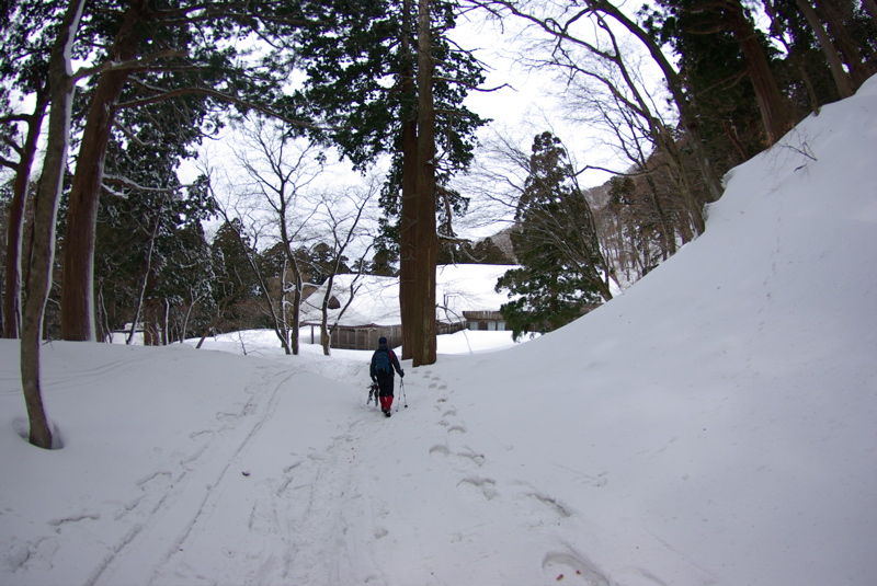 大山登山２００８年３月その６（最終）_a0009554_2012183.jpg