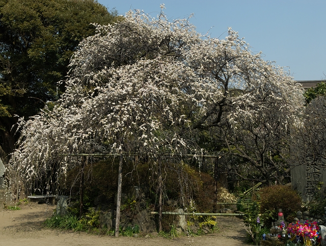 宝戒寺・２_f0018464_184164.jpg