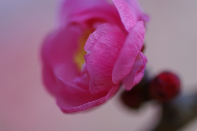 d0141365_19364810.jpg