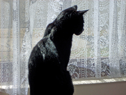 d0128469_94360.jpg